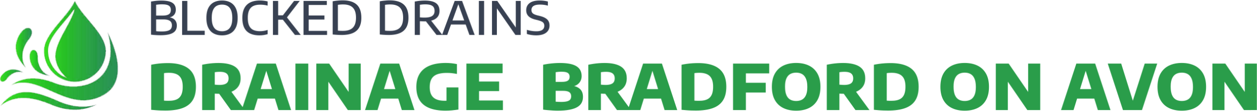 website logo